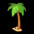 ココナッツの木