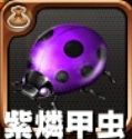 紫燐甲虫
