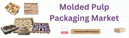 Molded Pulp Packaging Market