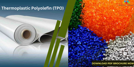 Thermoplastic Polyolefin (TPO) Market (5)