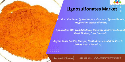 Lignosulfonates Market (3)