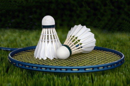 Badminton Market