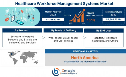 Healthcare Workforce Management Systems Market 