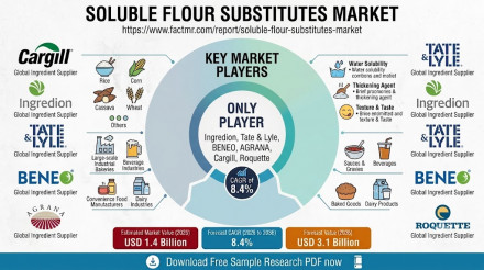水溶性小麦粉代替品市場 Soluble Flour Substitutes Market