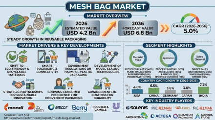 メッシュバッグ市場 Mesh Bag Market