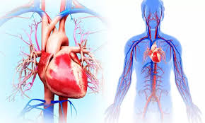Transthyretin Amyloidosis Treatment image