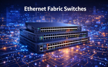 Ethernet Fabric Switches