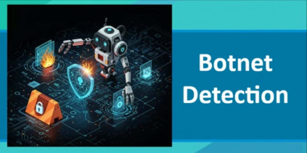 Botnet Detection