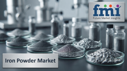 Iron Powder Market