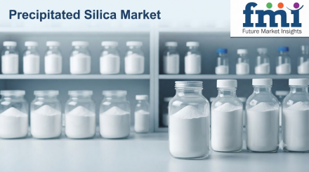 Precipitated Silica Market (4)