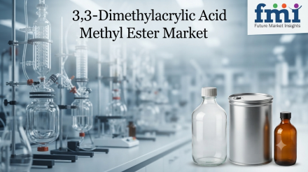 3,3-Dimethylacrylic Acid Methyl Ester Market (3)