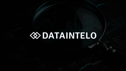 dataintelo (1)