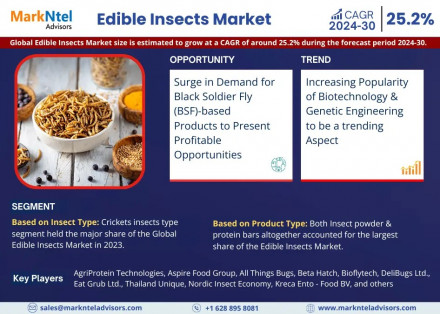 Edible Insects