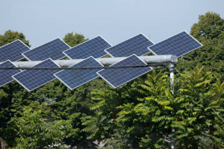 UK Agrivoltaic