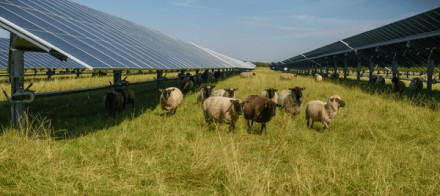France Agrivoltaic
