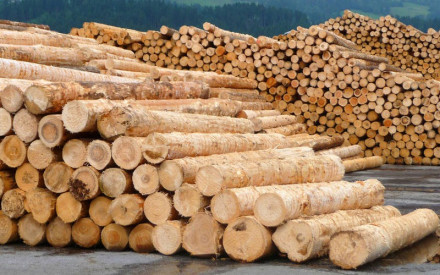 Japan wood pulp market