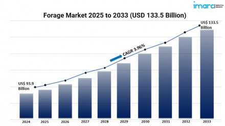 Forage Market Graph 2025-2033