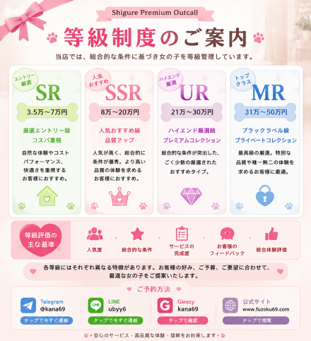 日 等級