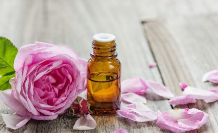 Rose Oil Market
