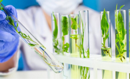 Biotech Ingredients Market