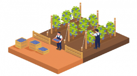 Precision Viticulture Market