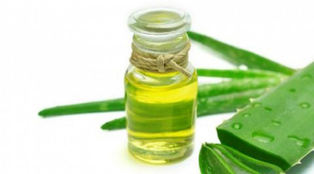 Aloe Vera Extract Market