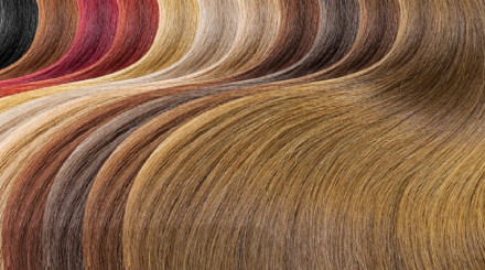 Organic Hair Color Market
