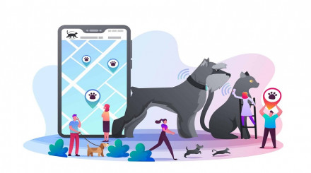 Pet Wearable Market