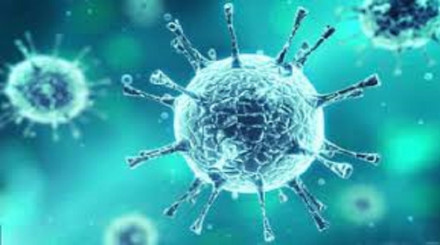 Viral Inactivation Market