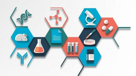 Drug Discovery Services Market