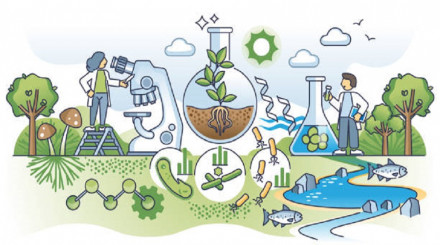 Bioremediation Market