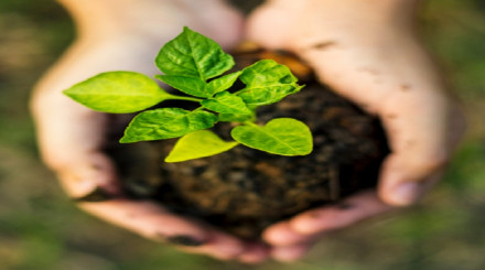 Natural Refrigerants Market