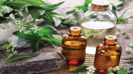 Cosmetic Oil Market