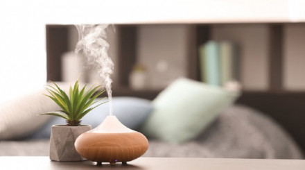 Aromatherapy Diffusers Market
