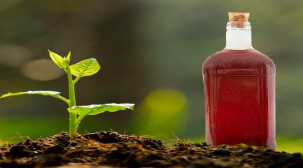 Wood Vinegar Market