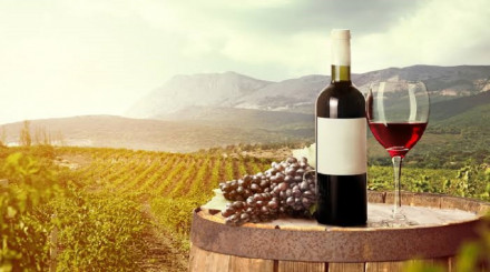 Organic Wine Market