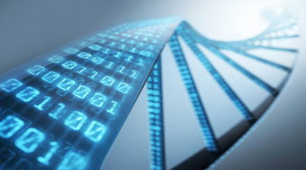 Bioinformatics Services Market