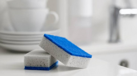 Sponge and Scouring Pads Market