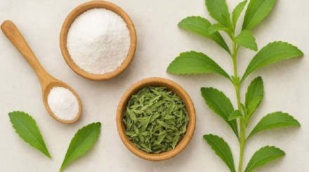 Stevia Market