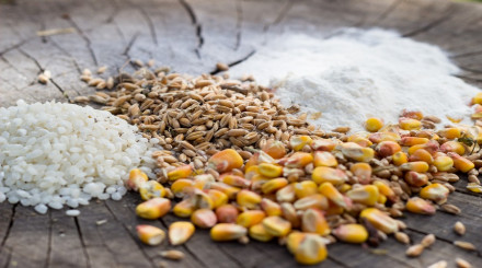 Feed Acidifiers Market