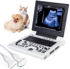 Veterinary Ultrasound Scanners