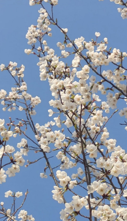 photo_2025-10-19_22-43-26