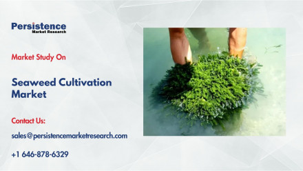 Seaweed Cultivation Market