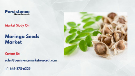 Moringa Seeds Market