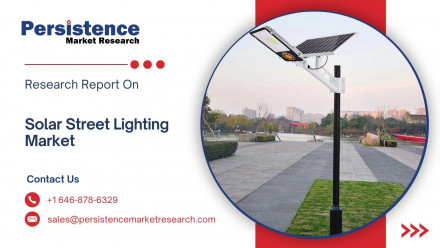 Solar Street Lighting Market
