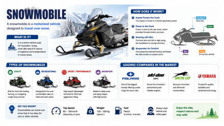 Snowmobile Market