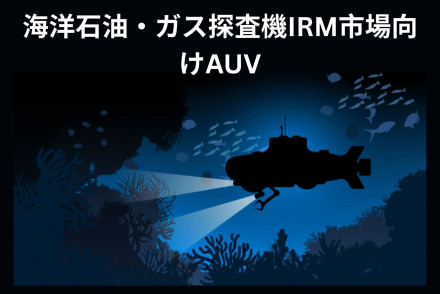 AUV for Offshore Oil and Gas IRM Market