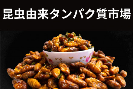 Insect based Protein Market