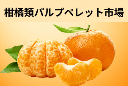 Citrus Pulp Pellets Market