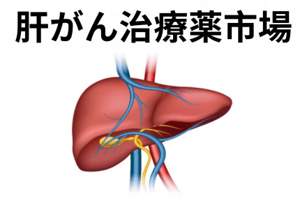 Liver Cancer Therapeutics Market